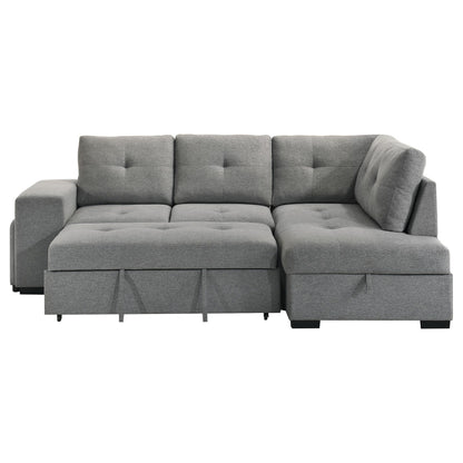 Roanne Fabric Upholstered Sleeper Sectional Sofa Grey - 500347