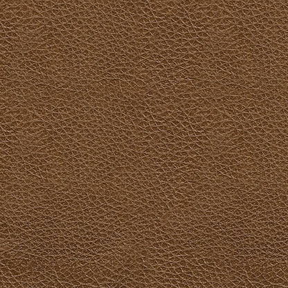 Saonara Amber Sofa - PC7310938