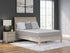 Terra Sleep Medium White California King Mattress - M52351