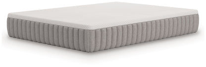 Terra Sleep Medium White California King Mattress - M52351