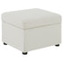 Winter Upholstered Hydraulic Lift Top Storage Ottoman Beige - 904134