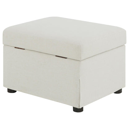 Winter Upholstered Hydraulic Lift Top Storage Ottoman Beige - 904134