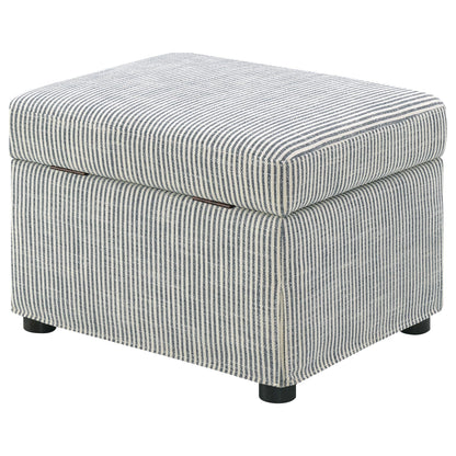 Winter Upholstered Hydraulic Lift Top Storage Ottoman Grey - 904138