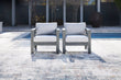 Amora Charcoal Gray Outdoor Lounge Chair with Cushion, Set of 2 - P417-820 - Bien Home Furniture & Electronics