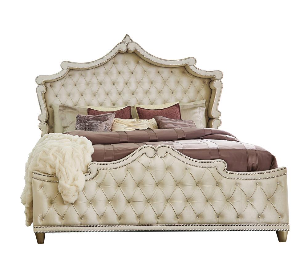 Antonella Upholstered Tufted Bedroom Set Ivory/Camel - 223521KW-S4 - Bien Home Furniture &amp; Electronics