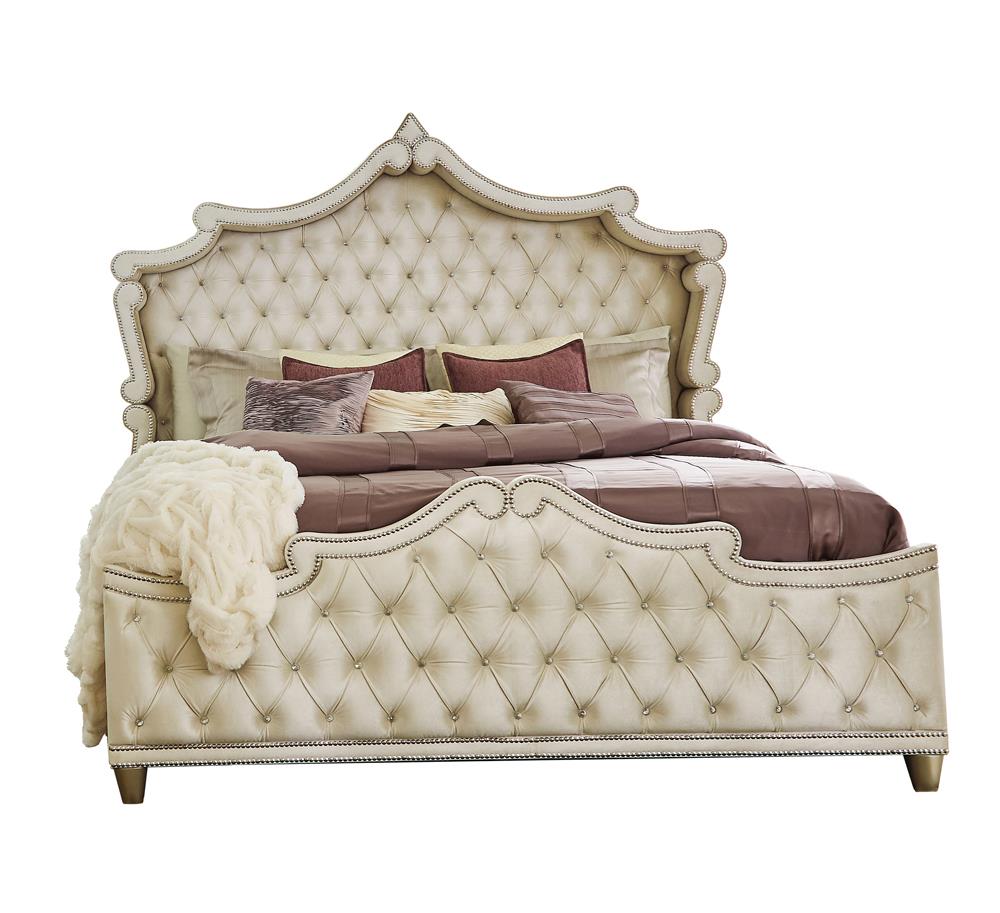 Antonella Upholstered Tufted California King Bed Ivory/Camel - 223521KW - Bien Home Furniture &amp; Electronics