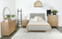 Arini 4-Piece Upholstered Eastern King Bedroom Set Sand Wash - 224300KE-S4 - Bien Home Furniture & Electronics