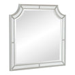 Avondale Silver Mirror (Mirror Only) - 1646-6 - Bien Home Furniture & Electronics