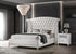 Barzini California King Wingback Tufted Bed White - 300843KW - Bien Home Furniture & Electronics
