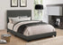 Boyd Twin Upholstered Bed with Nailhead Trim Charcoal - 350061T - Bien Home Furniture & Electronics