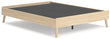 Cabinella Tan Queen Platform Bed - EB2444-113 - Bien Home Furniture & Electronics