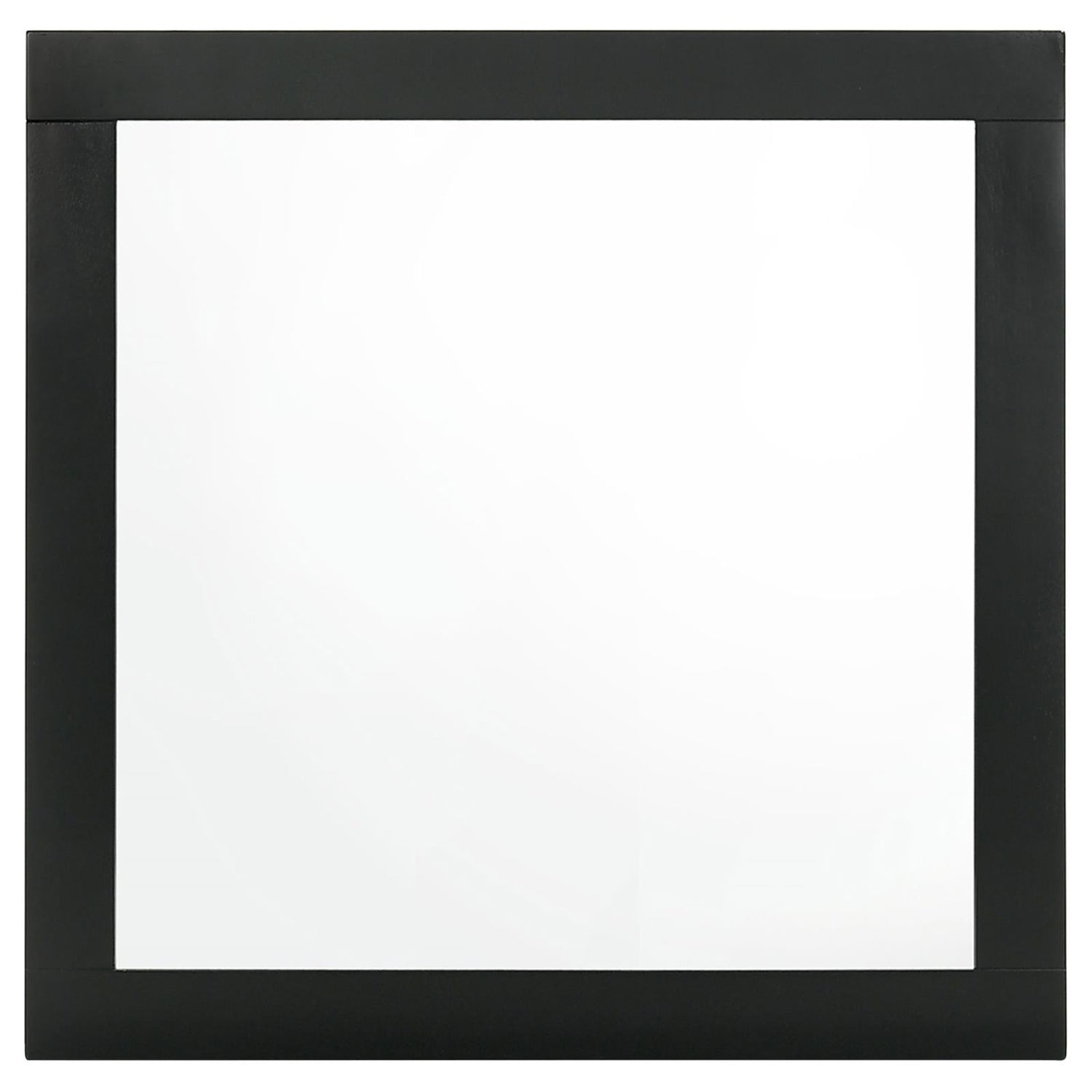 Caraway Dresser Mirror Black - 224784 - Bien Home Furniture &amp; Electronics