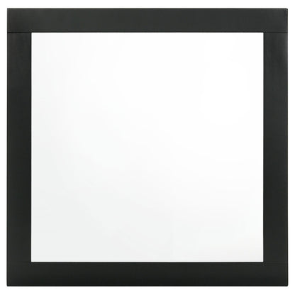 Caraway Dresser Mirror Black - 224784 - Bien Home Furniture &amp; Electronics