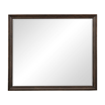 Cardano Driftwood Charcoal Mirror (Mirror Only) - 1689-6 - Bien Home Furniture &amp; Electronics