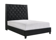 Chantilly Black Velvet Queen Upholstered Bed - SET | 5265BK-Q-HB | 5265BK-Q-FRW - Bien Home Furniture & Electronics