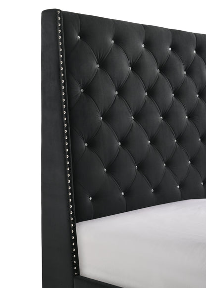 Chantilly Black Velvet Queen Upholstered Bed - SET | 5265BK-Q-HB | 5265BK-Q-FRW - Bien Home Furniture &amp; Electronics
