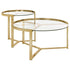 Delia 2-Piece Round Nesting Table Clear/Gold - 930251 - Bien Home Furniture & Electronics