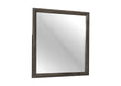 Edina Dark Gray Mirror (Mirror Only) - 2145NP-6 - Bien Home Furniture & Electronics