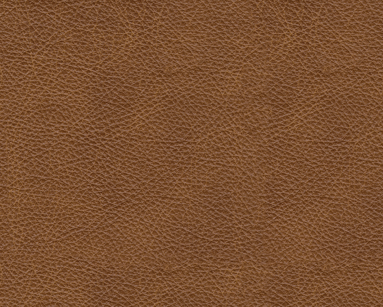 Emilia Caramel Leather 7-Piece Sectional - SET | 3090164 | 3090165 | 3090177 | 3090146 | 3090146 | 3090146 | 3090146 - Bien Home Furniture &amp; Electronics