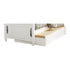 HOM B1799-R Twin Trundle/Toybox - B1799-R - Bien Home Furniture & Electronics