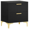 Kendall 2-Drawer Nightstand Black/Gold - 224452 - Bien Home Furniture & Electronics