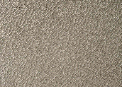 Lila Champagne Full Upholstered Panel Bed - SET | B4390-F-HBFB | B4390-FT-RAIL - Bien Home Furniture &amp; Electronics