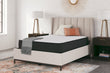 Limited Edition Firm White Twin Mattress - M41011 - Bien Home Furniture & Electronics