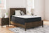 Limited Edition PT White California King Mattress - M41251 - Bien Home Furniture & Electronics