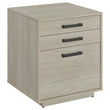 Loomis 3-Drawer Square File Cabinet Whitewashed Gray - 805882 - Bien Home Furniture & Electronics