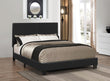 Mauve Bed Upholstered Queen Black - 300558Q - Bien Home Furniture & Electronics