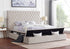 Paris Beige Platform Bed - Queen & King *Queen - Paris Beige Queen - Bien Home Furniture & Electronics