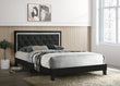 Passion Black Queen Platform Bed - Passion - Black Queen - Bien Home Furniture & Electronics