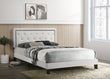 Passion White King Platform Bed - Passion - White King - Bien Home Furniture & Electronics