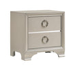 Salford 2-Drawer Nightstand Metallic Sterling - 222722 - Bien Home Furniture & Electronics