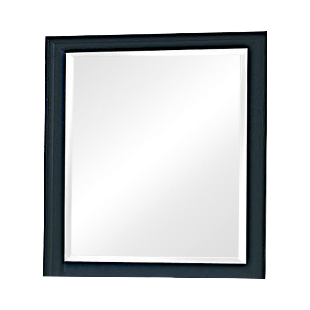 Sandy Beach Black Vertical Dresser Mirror - 201324 - Bien Home Furniture &amp; Electronics